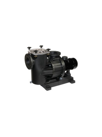 Насос циркуляционный для бассейнов с выбросом скорости EUROPRO 350 T - IE3DAB Насос циркуляционный для бассейнов с выбросом скорости EUROPRO 350 T - IE3DAB
