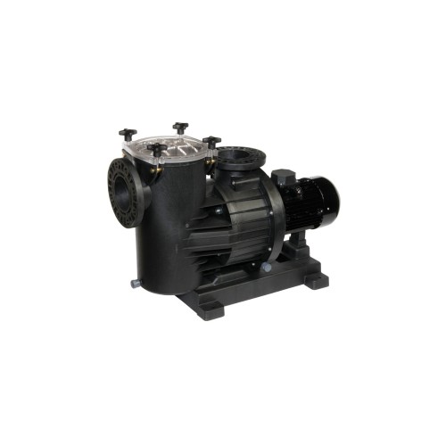 Насос циркуляционный для бассейнов с выбросом скорости EUROPRO 350 T - IE3DAB