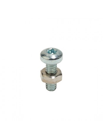 Винт для антивандальных оболочек R455C M4 x 12