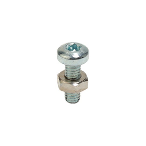 Винт для антивандальных оболочек R455C M4 x 12