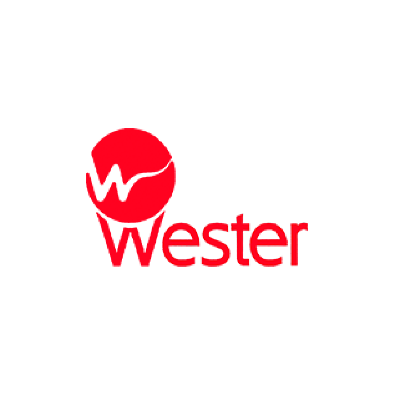 Гидроаккумулятор Wester 150